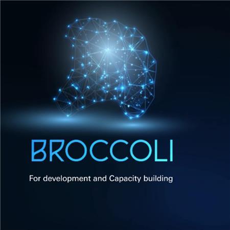 Broccoli for Development & Capacity Building